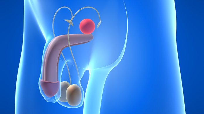 Resultado de imagen de urologia