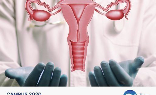 Frau Dr. Andrea Bernabeu spricht auf dem ESHRE-Campus “The insuitable uterus” die neuesten Forschungsarbeiten über die Rolle des vaginalen Mikrobioms in der Schwangerschaft an