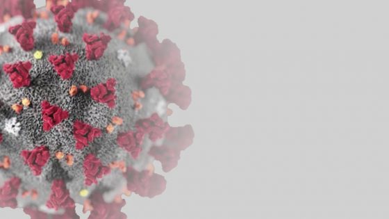 Neuer IB Newsletter: Coronavirus COVID-19. Aktualisierung über den Zustand unserer Aktivität