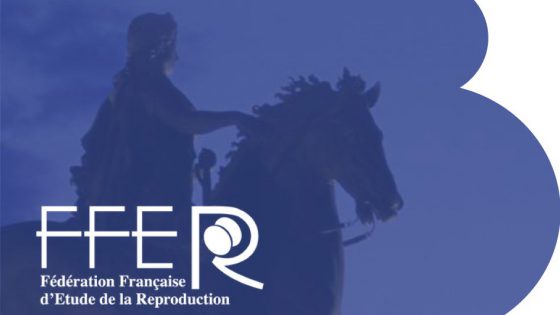 Neuer IB Newsletter: Das Instituto Bernabeu präsentiert drei wissenschaftliche Forschungsarbeiten auf dem Kongress über Unfruchtbarkeit der FFER in Frankreich