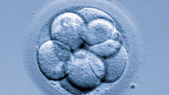 Freezing in order to improve embryo implantation results