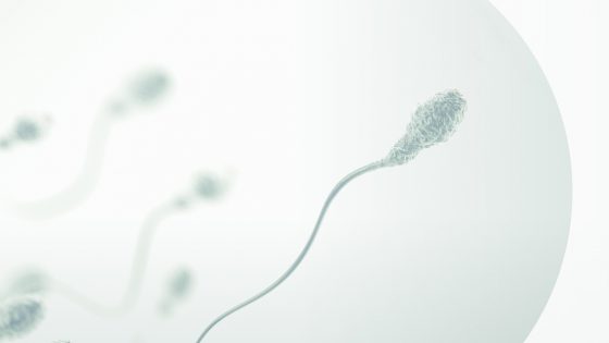 Instituto Bernabeu and the University of Castilla-La Mancha, Spain, are organising the third edition of the Master’s Course in Male Infertility