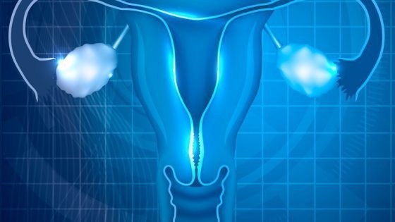Instituto Bernabeu analyses the impact of the vaginal microbiome on pregnancy rates in assisted reproduction treatment patients