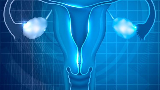 A research by Instituto Bernabeu investigates the regions that affect the vaginal and endometrial microbiome