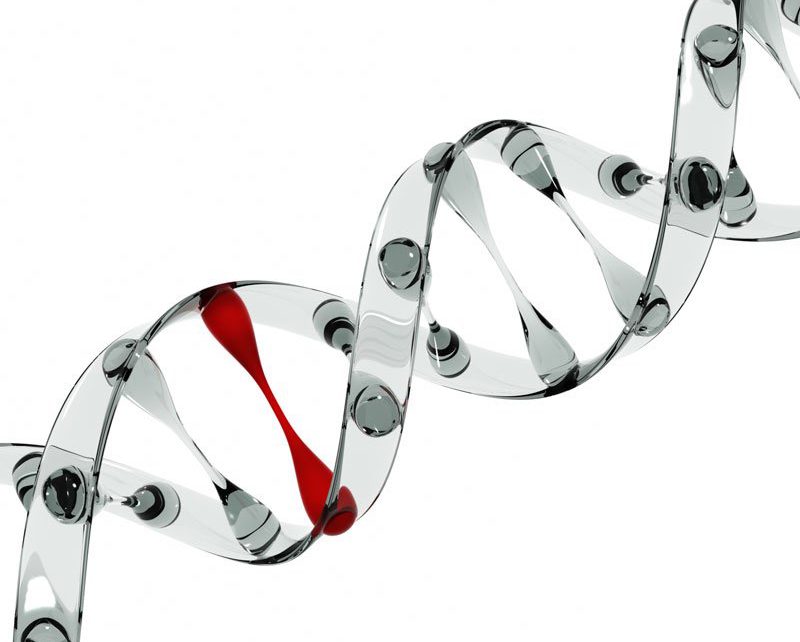 Human Reproduction met en valeur une recherche de l’Instituto Bernabeu sur l’influence de l’ADN mitochondrial dans les résultats de la FIV