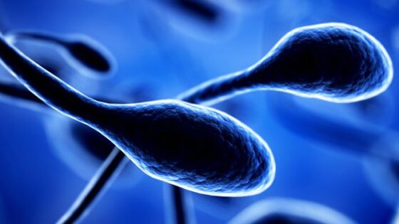 Wird die Genetik des Embryos durch das Alter des Vaters beeinflusst? Forschung von IB für ESHG 2016.