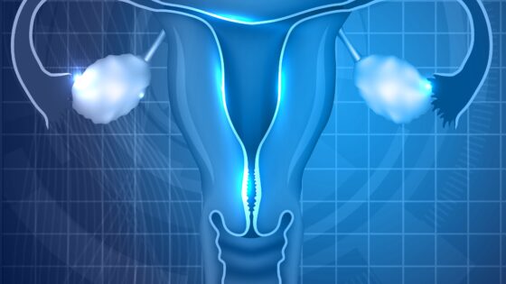 Forschung am IB über Bewertungsmethoden von uteriner Peristaltik vor dem Embryonentransfer