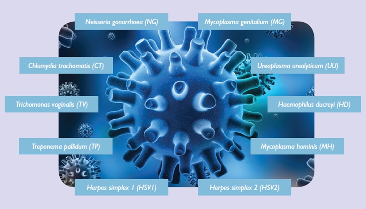 Mycoplasma genitalium что это