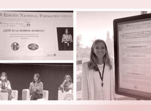 The Bernabeu Institute discusses techniques to determine ovarian reserve at the 36th Congress of the Spanish Society of Gynaecology and Obstetrics (SEGO)