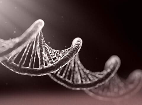 Das Instituto Bernabeu stellt beim 3. Kongress für menschliche Genetik Forschungsergebnisse zur Identifizierung neuer Gene bei Familien mit vorzeitiger Ovarialinsuffizienz vor