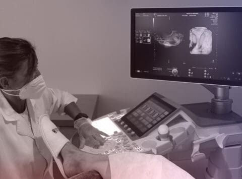 Instituto Bernabeu conducts an expert webinar on ultrasound in reproduction