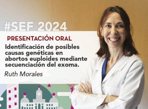 Dr Ruth Morales will present her study on the euploid miscarriages genetic causes at the SEF congress