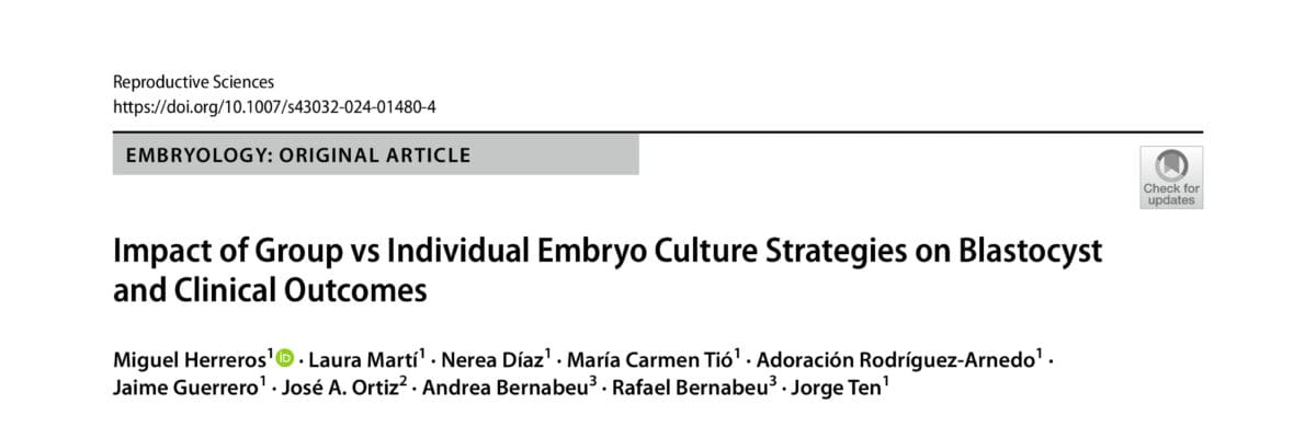 Impact of Group vs Individual Embryo Culture Strategies on Blastocystand Clinical Outcomes