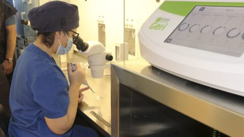 So funktioniert das Auswahlverfahren des Instituto Bernabeu zur Qualität der Embryonen