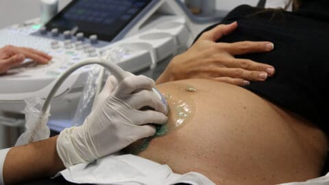 2025, clave para la natalidad: la medicina reproductiva sigue creciendo como alternativa para tener un hijo en España